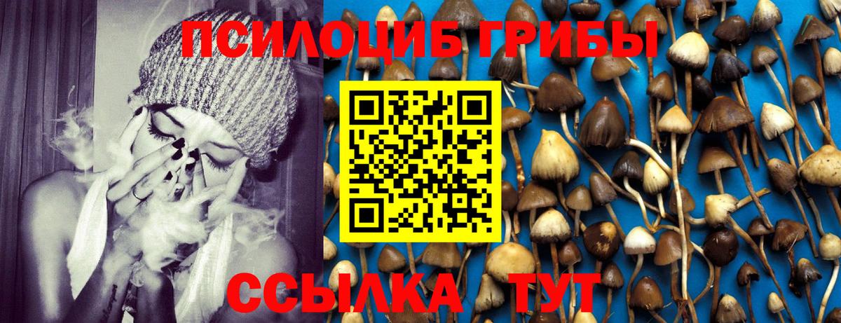 Псилоцибиновые грибы мицелий Прохладный